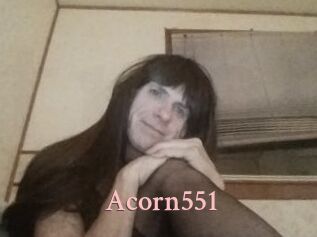 Acorn551