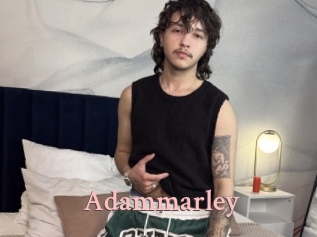 adammarley Tube Shemale