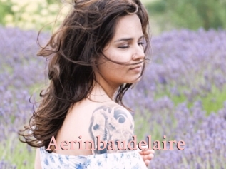 Aerinbaudelaire