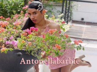 Antonellabarbie