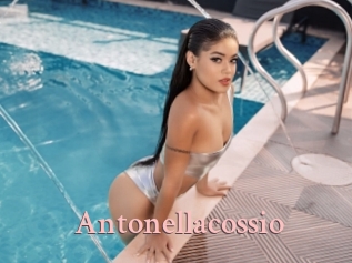 antonellacossio Tube Shemale