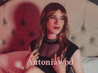 Antoniawod