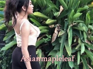 Asianmapleleaf