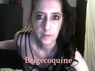 Belgecoquine