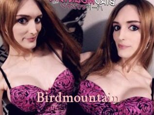 Birdmountain