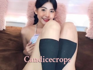 Candicecrops