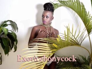 Exoticebonycock