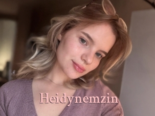 Heidynemzin