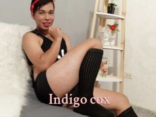 Indigo_cox