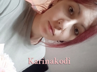 Karinakodi