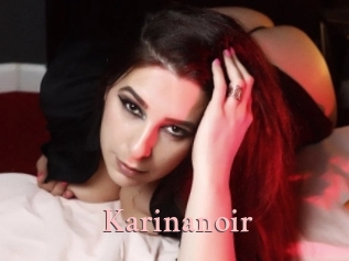 Karinanoir