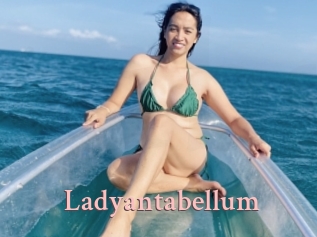 Ladyantabellum