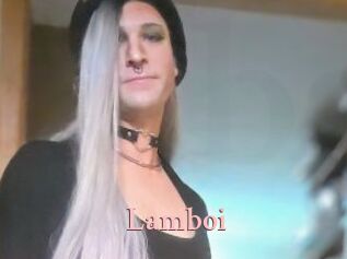 Lamboi