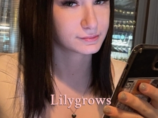 Lilygrows