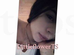 LittleflowerTS