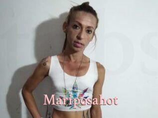 Mariposa_hot