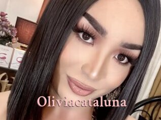Oliviacataluna