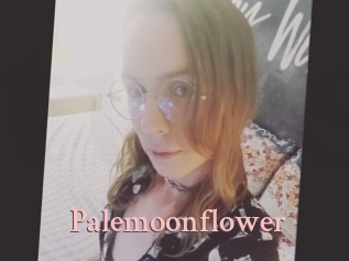 Palemoonflower