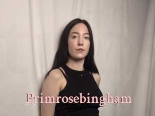 Primrosebingham
