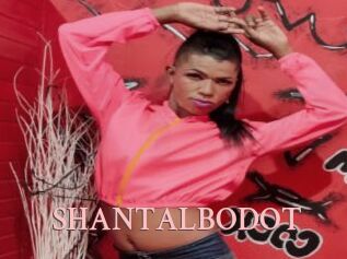 SHANTALBODOT