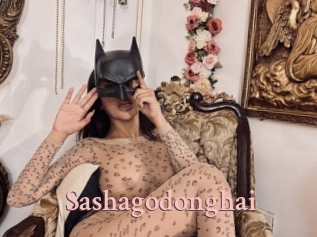 Sashagodonghai