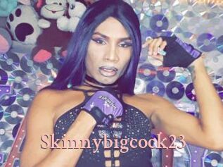 Skinnybigcock23