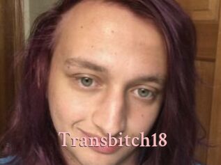 Transbitch18
