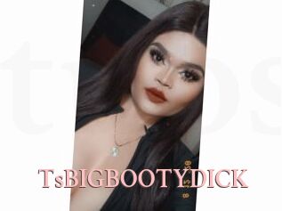 TsBIGBOOTYDICK