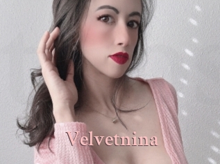 Velvetnina
