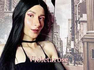 Violetarose