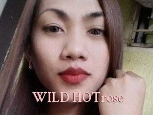WILD_HOTrose