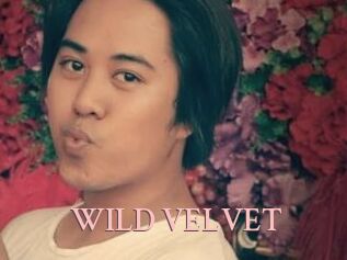 WILD_VELVET