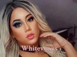 Whitevenus