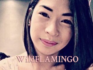 WildFLAMINGO