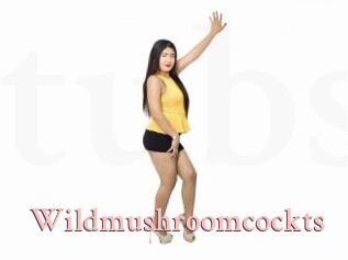 Wildmushroomcockts