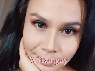 Wilsongay